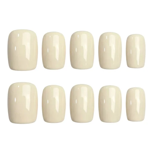 Cream Elegance